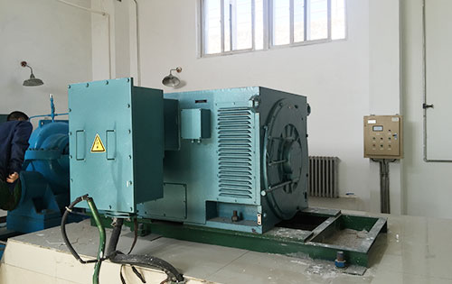 Y400-4某水电站工程主水泵使用我公司高压电机