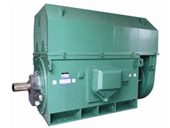 Y400-4Y系列6KV高压电机